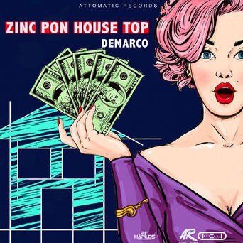 Zinc Pon House Top