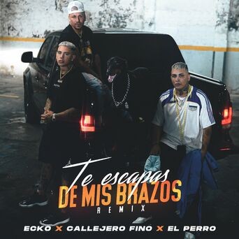 Te Escapas De Mis Brazos (Remix)