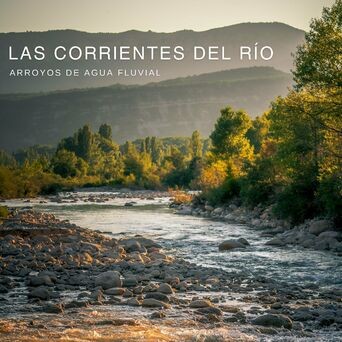 Las Corrientes Del Rio: Arroyos De Agua Fluvial