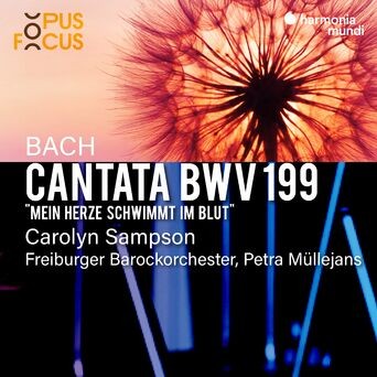 Bach: Cantata, BWV 199