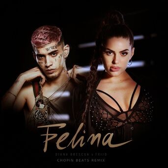 Felina (Chopin Beats Remix)