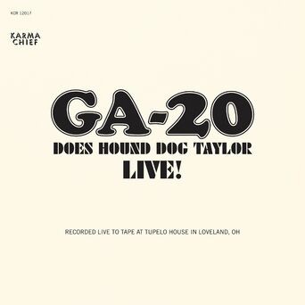 Does Hound Dog Taylor Live! (Live)