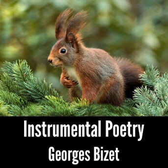 Instrumental Poetry: Georges Bizet