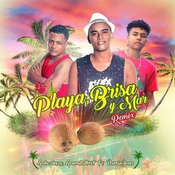 Playa, Brisa Y Mar (feat. Darrin Jones) (Remix)