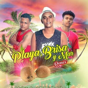 Playa, Brisa y Mar (Remix)