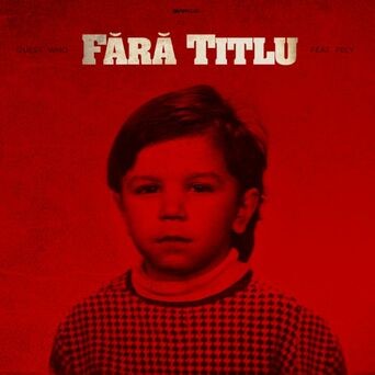 Fara Titlu (feat. Fely)