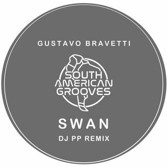 Swan (DJ PP Remix)
