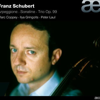 Schubert: Arpeggione / Sonatina / Trio No. 1