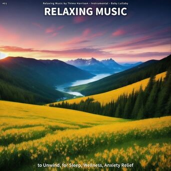 #01 Relaxing Music to Unwind, for Sleep, Wellness, Anxiety Relief