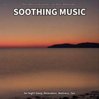 #01 Soothing Music for Night Sleep, Relaxation, Wellness, Zen