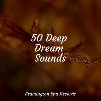 50 Deep Dream Sounds