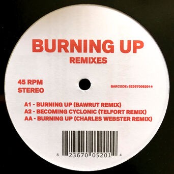 Burning Up (Remixes)