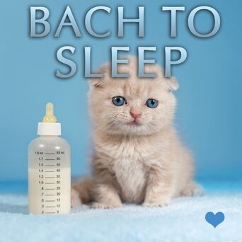 Bach to Sleep - Bedtime Baby Songs