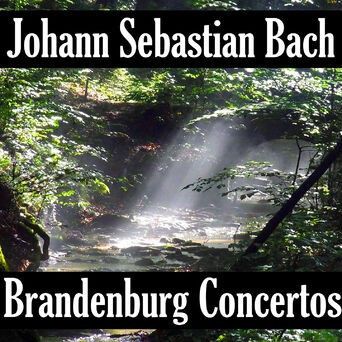 Johann Sebastian Bach: Brandenburg Concerto's