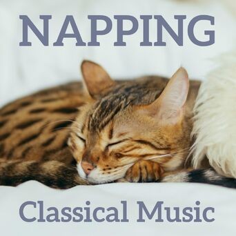 Napping Classical Music