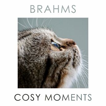 Brahms Cosy Moments