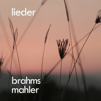 Brahms, Mahler: Lieder