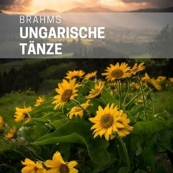 Brahms: Ungarische Tänze