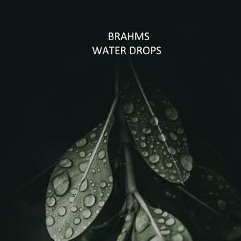 Johannes Brahms - Water Drops
