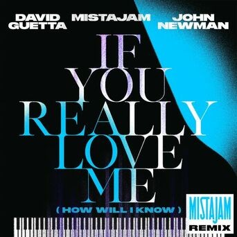 If You Really Love Me (How Will I Know) (MistaJam Remix)