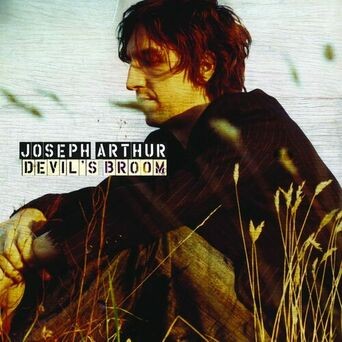 Devil's Broom (7