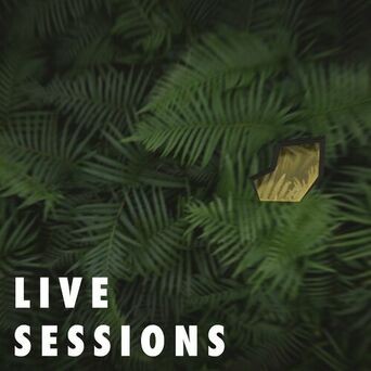 Live Sessions