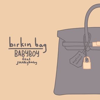 Babyboy Birkin Bag (feat. Junkybaby)