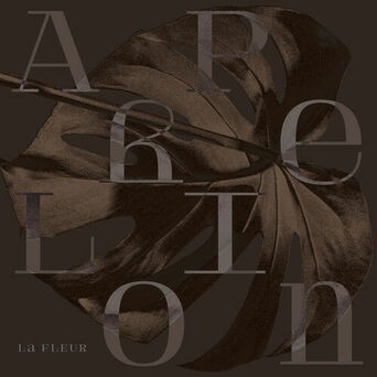 Aphelion EP - Remixes