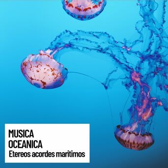 Musica oceanica: Etereos acordes maritimos