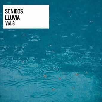 Sonidos Lluvia Vol. 6, La Libreria de lluvia