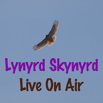 Lynyrd Skynyrd Live On Air