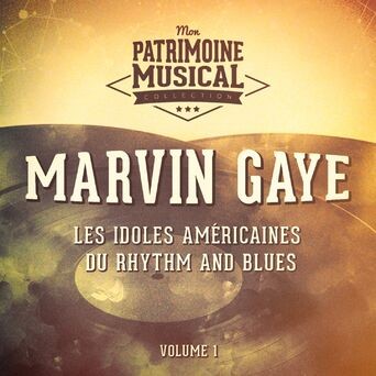 Les idoles américaines du Rhythm and Blues : Marvin Gaye, Vol. 1