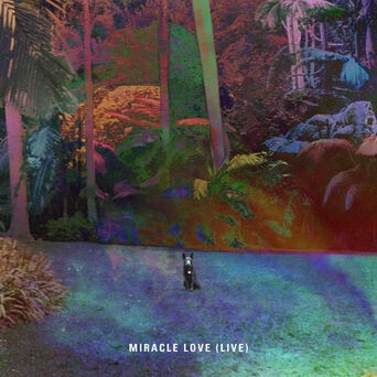 Miracle Love (Live)
