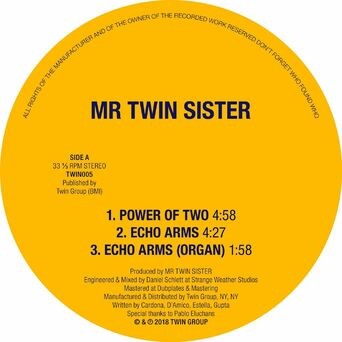 Power of Two / Echo Arms