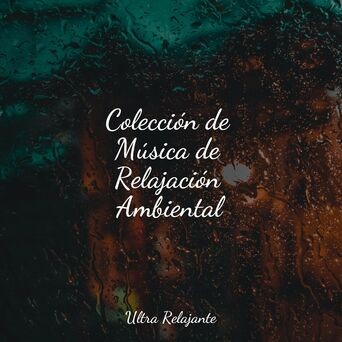 Colección de Música de Relajación Ambiental
