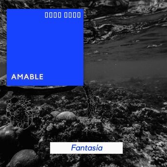 # 1 Album: Amable Fantasía