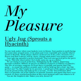 Ugly Jug (Sprouts a Hyacinth)