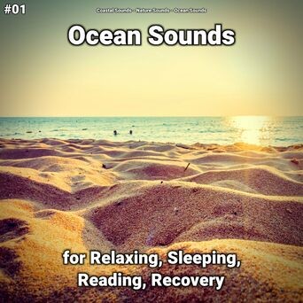 #01 Ocean Sounds for Relaxing, Sleeping, Reading, Recovery