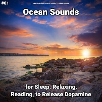 #01 Ocean Sounds for Sleep, Relaxing, Reading, to Release Dopamine