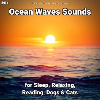 #01 Ocean Waves Sounds for Sleep, Relaxing, Reading, Dogs & Cats