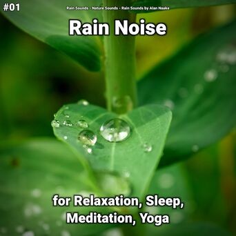 #01 Rain Noise for Relaxation, Sleep, Meditation, Yoga