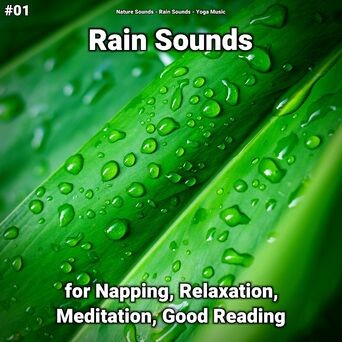 #01 Rain Sounds for Napping, Relaxation, Meditation, Good Reading