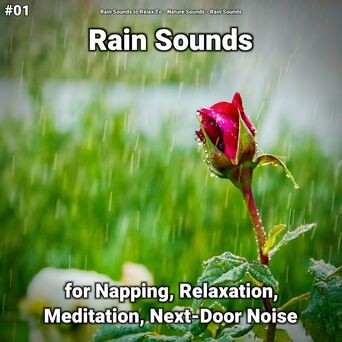 #01 Rain Sounds for Napping, Relaxation, Meditation, Next-Door Noise