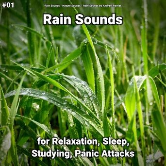 #01 Rain Sounds for Relaxation, Sleep, Studying, Panic Attacks