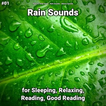 #01 Rain Sounds for Sleeping, Relaxing, Reading, Good Reading