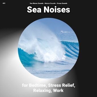 #01 Sea Noises for Bedtime, Stress Relief, Relaxing, Work
