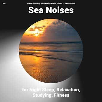 #01 Sea Noises for Night Sleep, Relaxation, Studying, Fitness