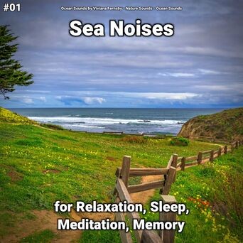 #01 Sea Noises for Relaxation, Sleep, Meditation, Memory