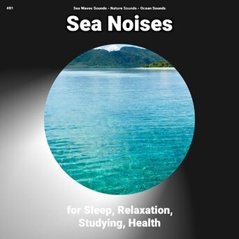 #01 Sea Noises for Sleep, Relaxation, Studying, Health