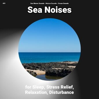 #01 Sea Noises for Sleep, Stress Relief, Relaxation, Disturbance